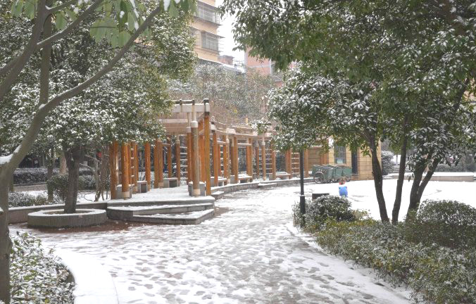 初雪逢周末，多个项目及时展开清理工作