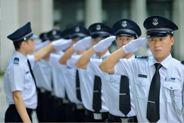 精进专业技能，共护和谐家园